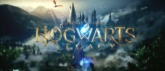 Video Game: Hogwarts Legacy