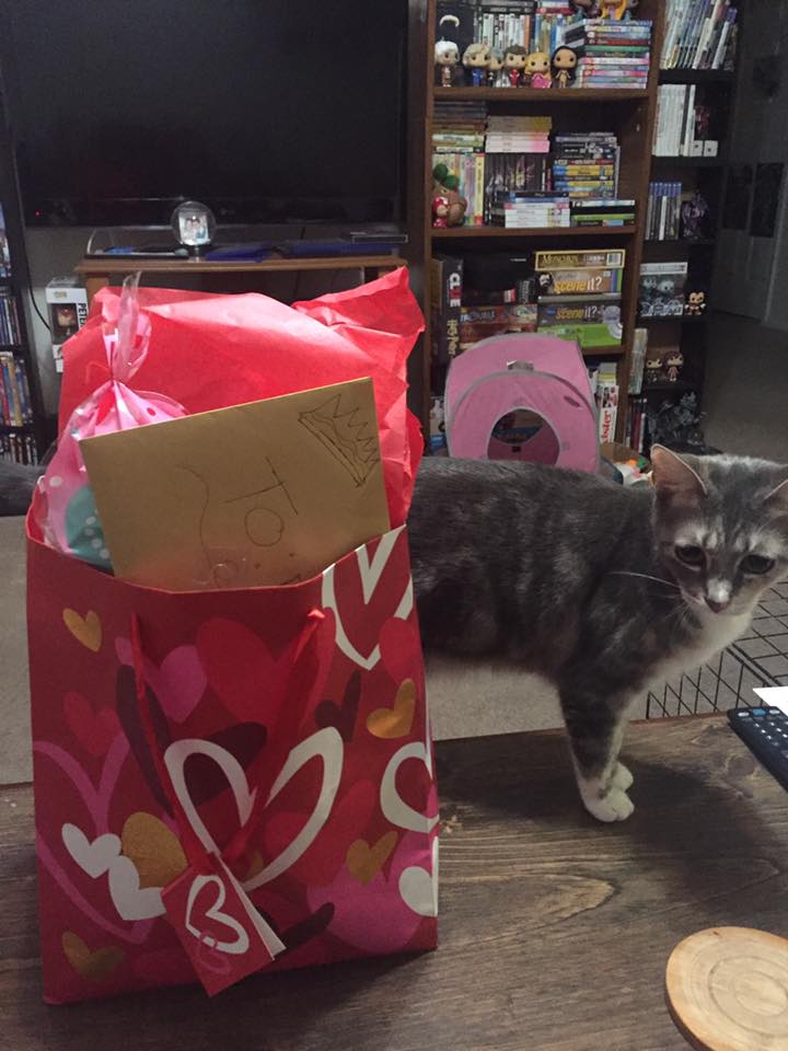 funnest-holiday-gifts-for-cat-lovers-geeky-kool