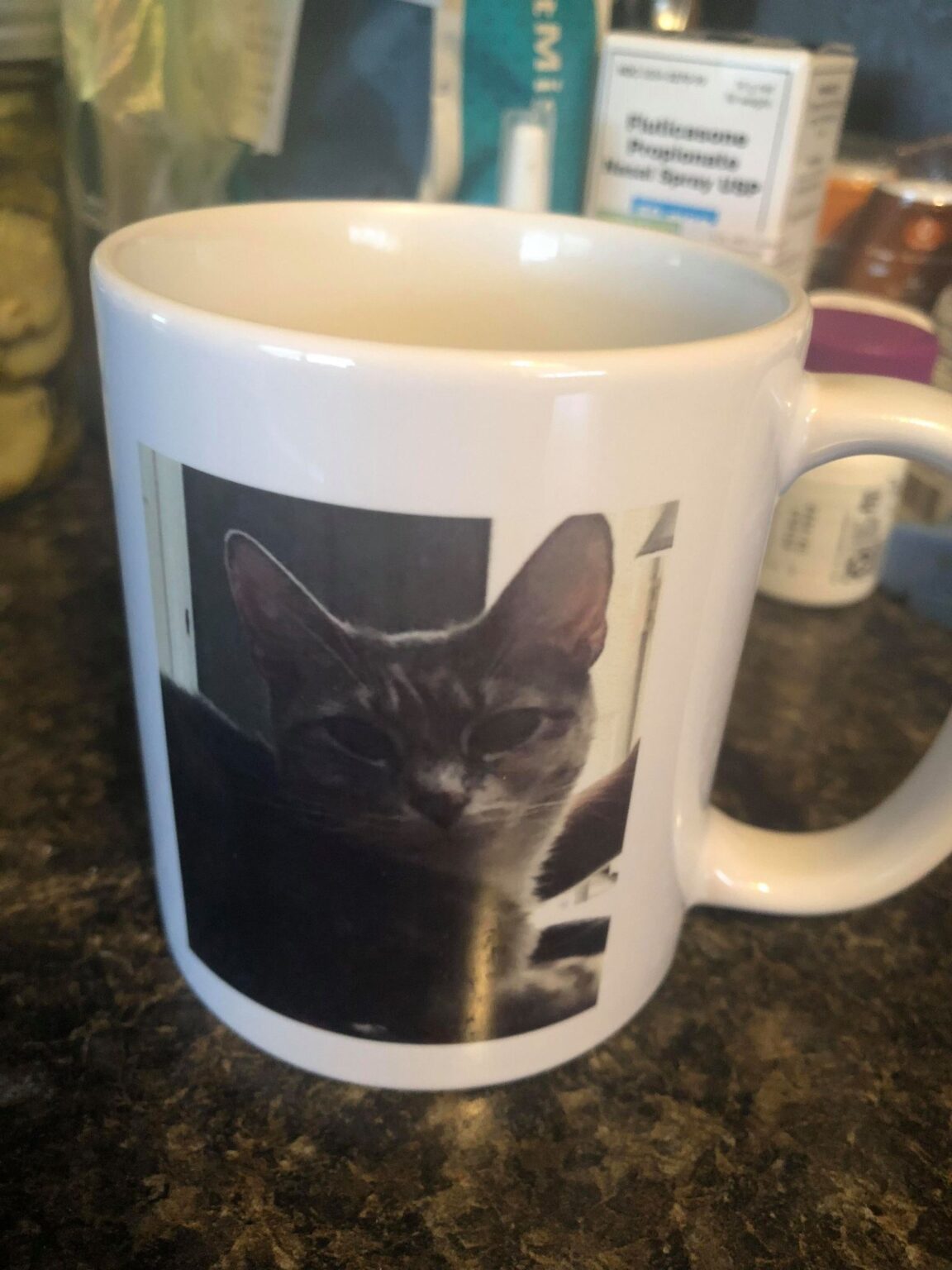 funnest-holiday-gifts-for-cat-lovers-geeky-kool