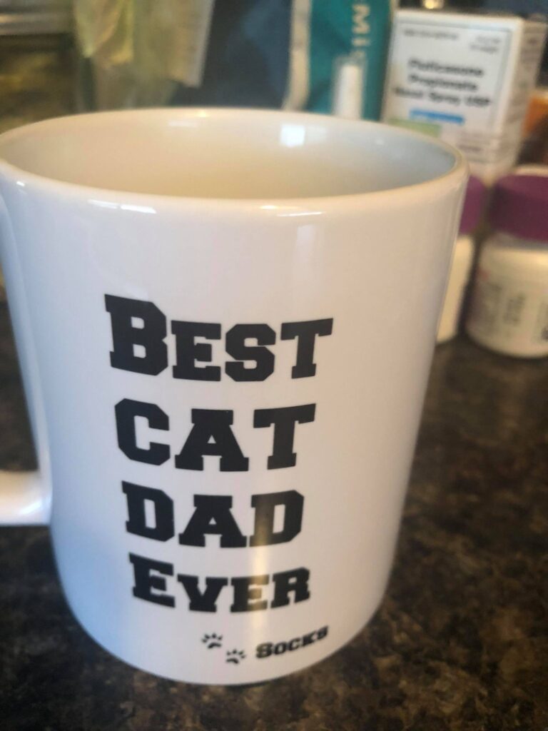 funnest-holiday-gifts-for-cat-lovers-geeky-kool
