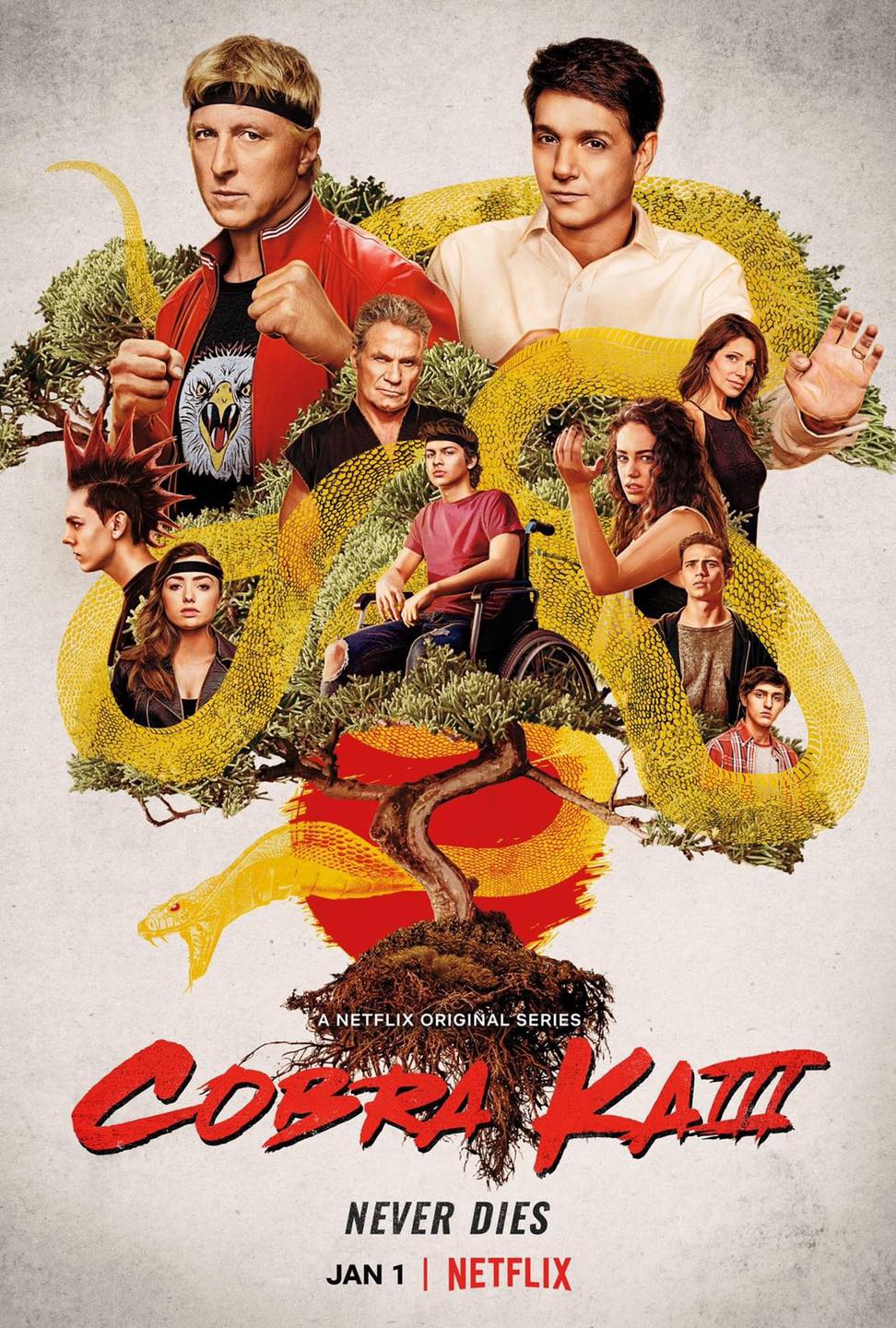 Cobra Kai Season 3 Poster Geeky KOOL