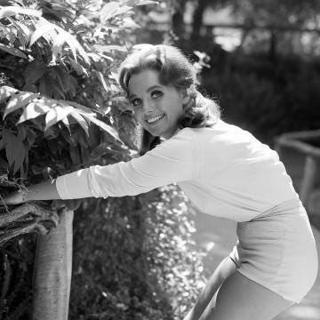 Dawn Wells (Mary Ann) Dies From COVID 19 Complications