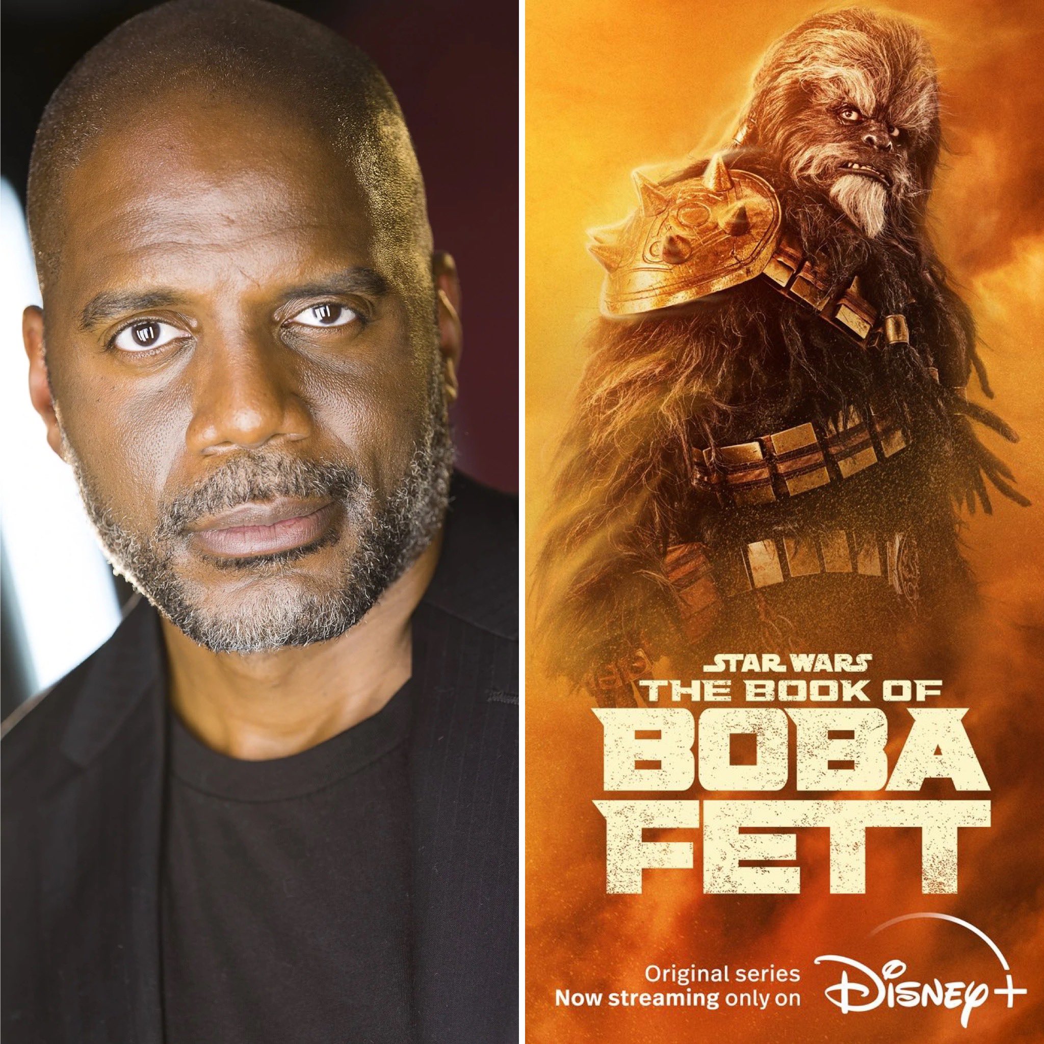 Warm Wookie From Angie Mayhew to Carey Jones Geeky KOOL