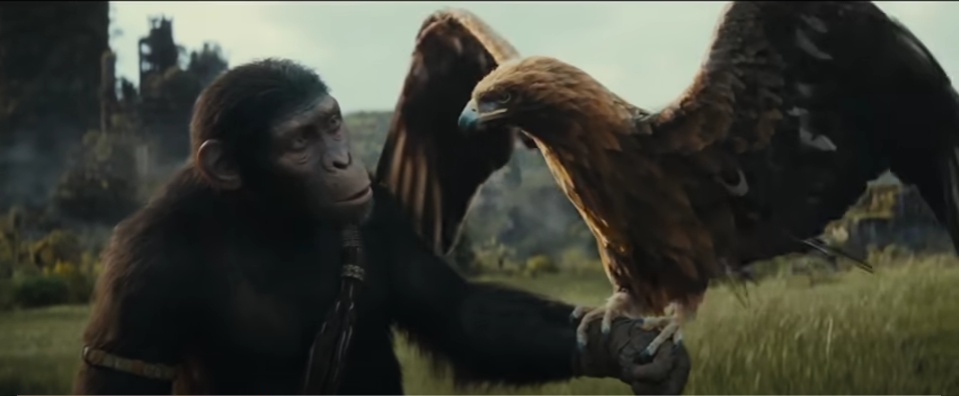 Kingdom of the Planet of the Apes Trailer Released