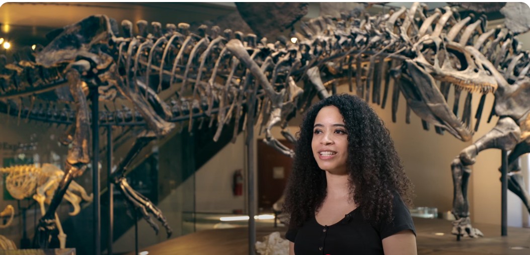 Why Dinosaurs? A Fascinating New Documentary Explores Our Lifelong Obsession
