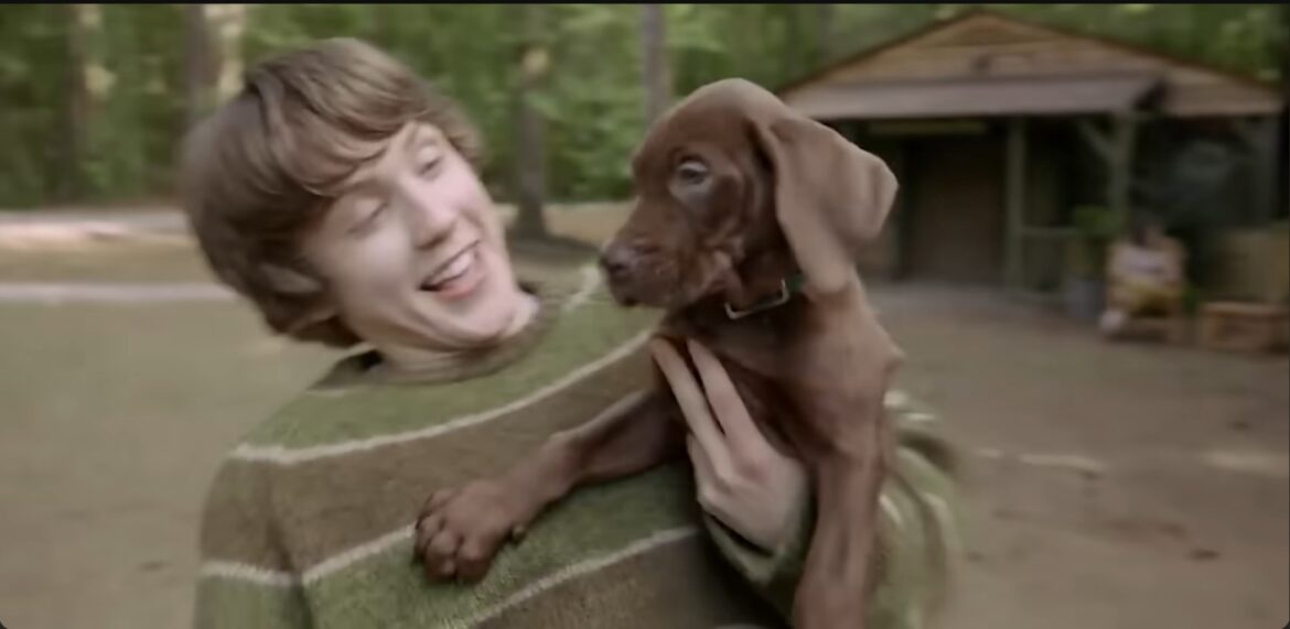 Jinkies! Netflix’s Live-Action Scooby-Doo: Origins Series Trailer